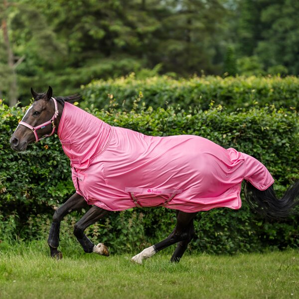 bucas vliegendeken Freedom Fly Sheet 