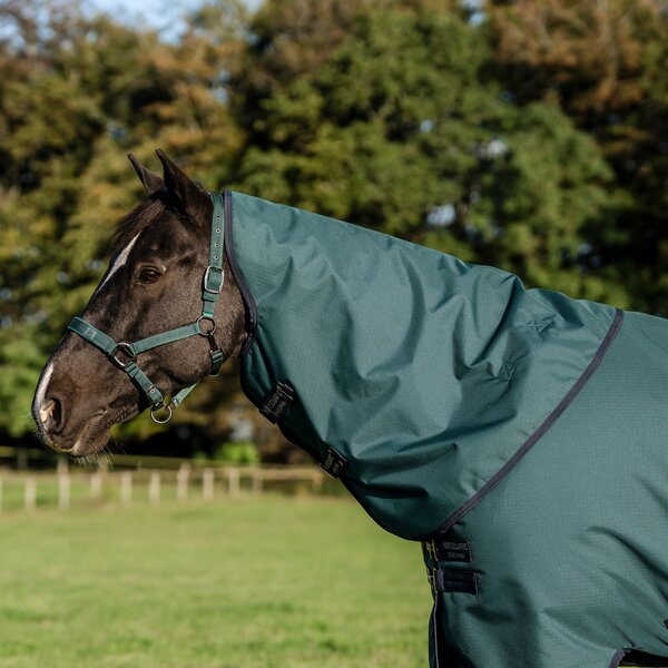 Horseware halsstuk AMIGO Ripstop 900 dynast green | XL