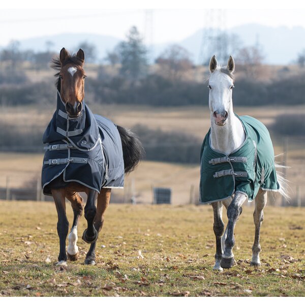 Horse-friends outdoordeken Hamburg II, 50 g 