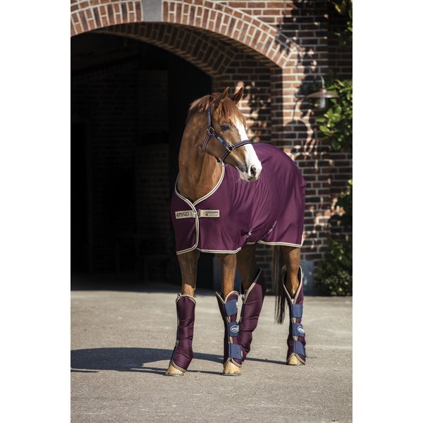 HORSEWARE Abschwitzdecke AMIGO Jersey Cooler 