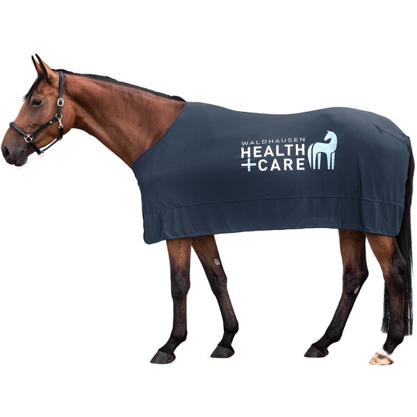 WALDHAUSEN Kühldecke W-Health & Care Ice Layer 