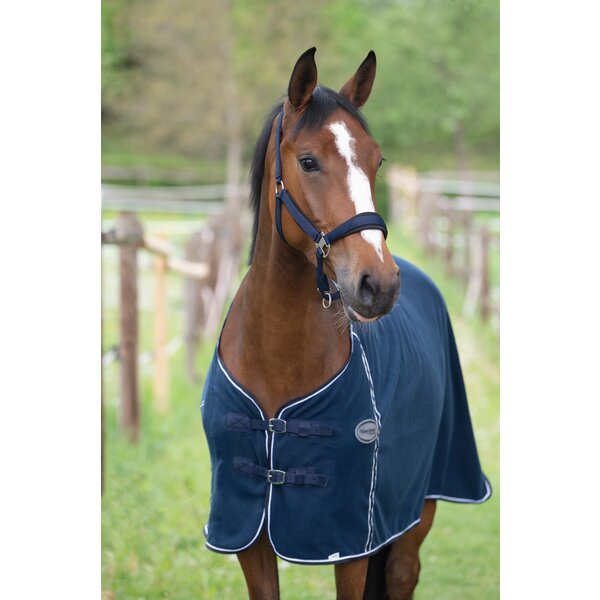Horse-friends zweetdeken 