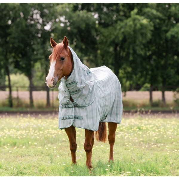 HORSEWARE Vliegendeken Newmarket Quarter Plus 