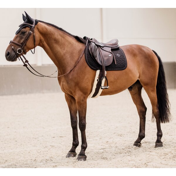 KENTUCKY zadeldek Glitter Rope 