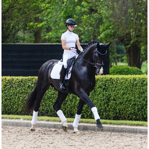 LeMieux Core zadeldekje Suede 