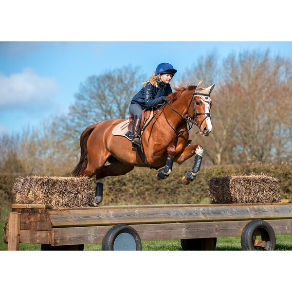 LeMieux Core beenbeschermers Carbon Air XC, voor de voorbenen 