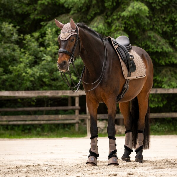 Cavallo vliegenoren CAVALPERLA 