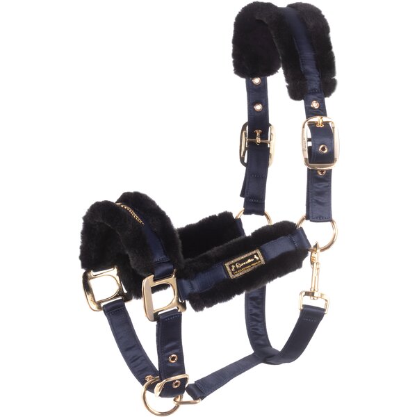 Cavallo Halfter CAVALLYLOU night shadow | Vollblut