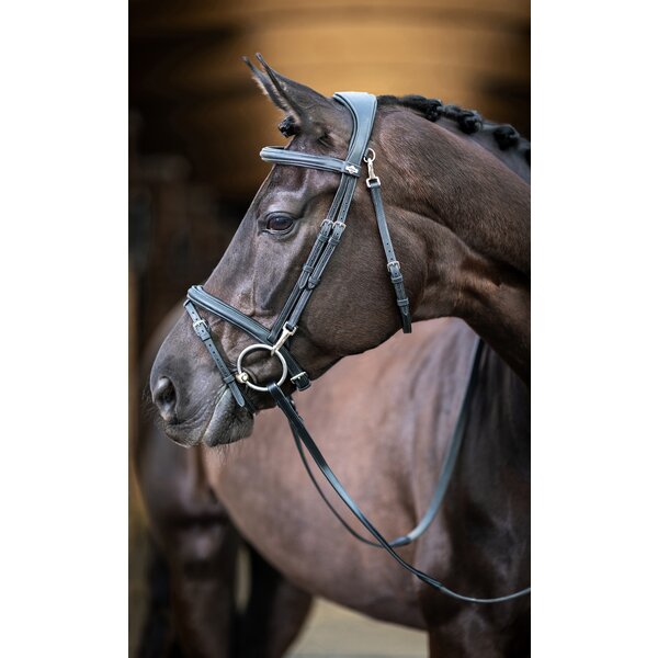 LeMieux hoofdstel Kudos Work Bridle 