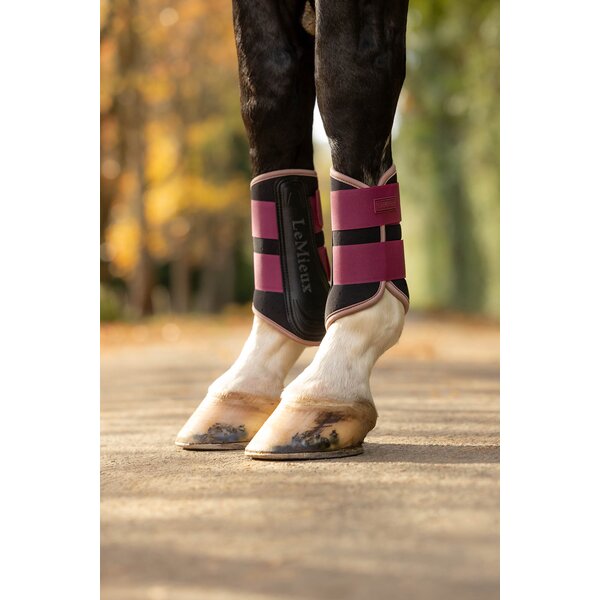 LeMieux peesbeschermers Air-Tek Grafter Brushing Boots blackberry | L
