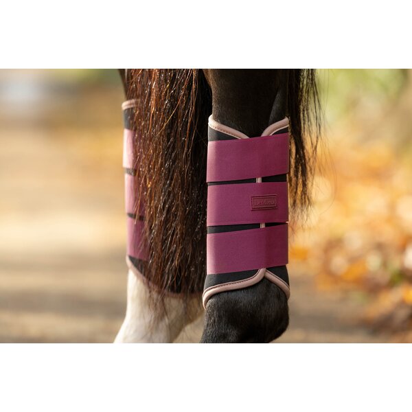 LeMieux peesbeschermers Air-Tek Grafter Brushing Boots blackberry | L