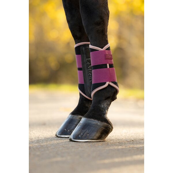 LeMieux peesbeschermers Air-Tek Grafter Brushing Boots blackberry | L