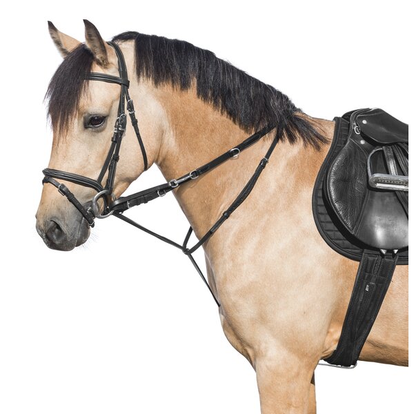 MONTIVUM Thiedemann springcombinatie black | Warmbloed