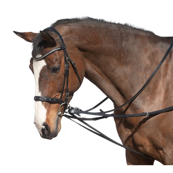 MONTIVUM gedeelde bijzetteugel black | Warmbloed