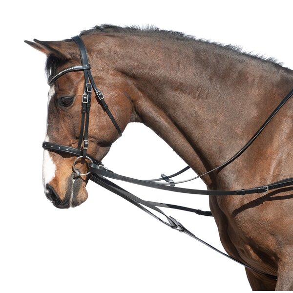 MONTIVUM bijzetteugel black | Pony