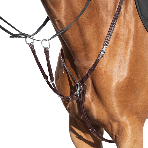 MONTIVUM borsttuig Derby brown | Warmbloed