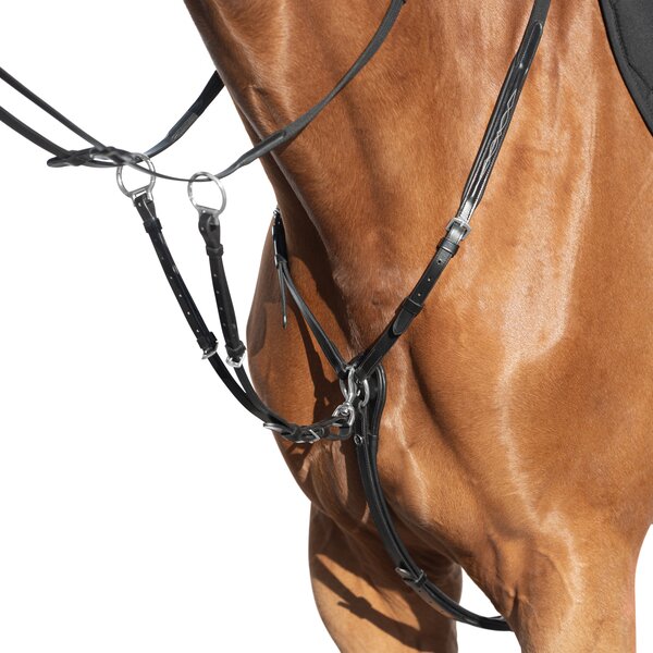 MONTIVUM borsttuig Derby black | Pony