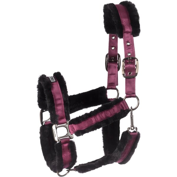 Cavallo Halfter CAVALJUNO dusty violet | Vollblut