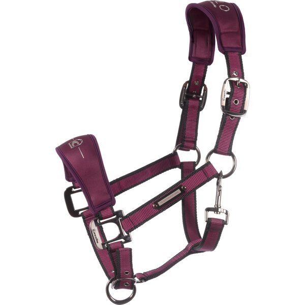 Cavallo Halfter CAVAL SOFTSHELL HEAD COLLAR dusty violet | Pony