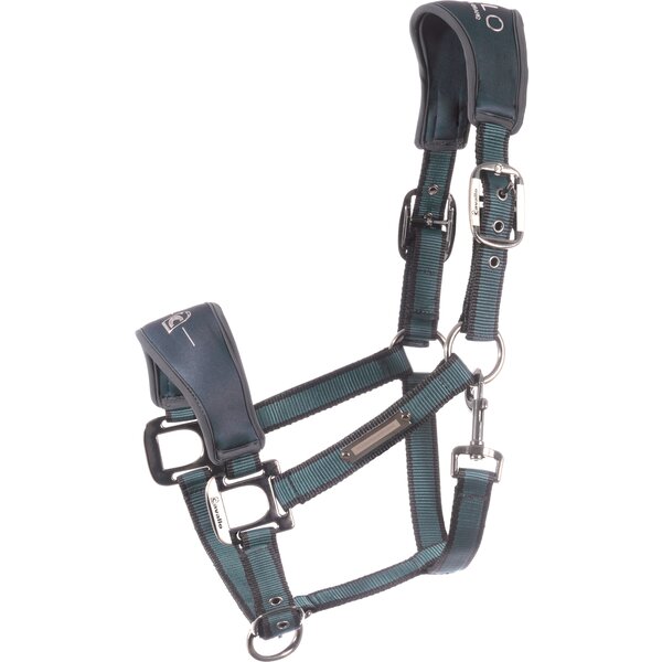 Cavallo Halfter CAVAL SOFTSHELL HEAD COLLAR silver pine | X-Warmblut