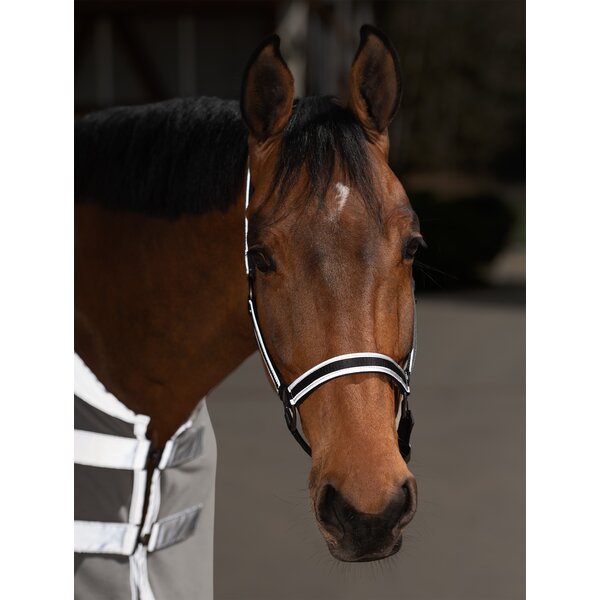 PROTECT by Horse-friends reflecterend halster 