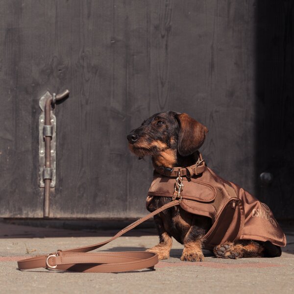 ESKADRON Heritage honden-set almond | XL