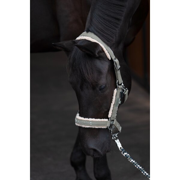 ESKADRON Classic Sports halster Denim Double Pin Teddyfleece dusty olive | X-Warmbloed