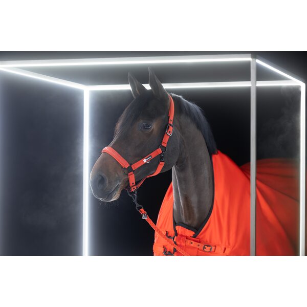 ESKADRON Dynamic regendeken Beta 50g 