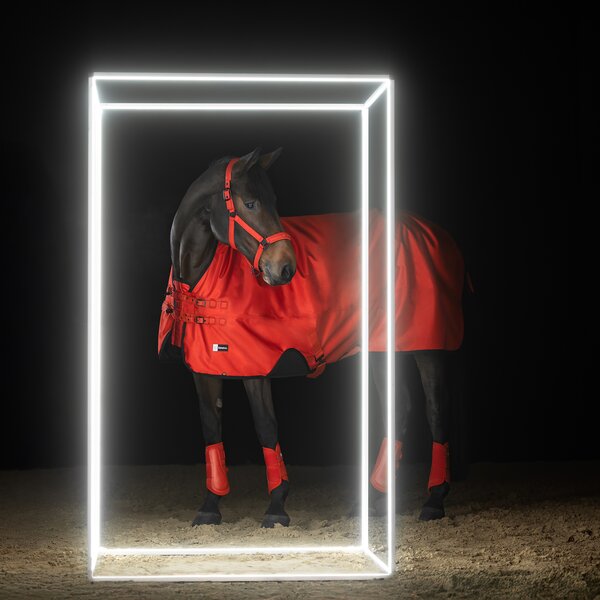 ESKADRON Dynamic regendeken Beta 50g 