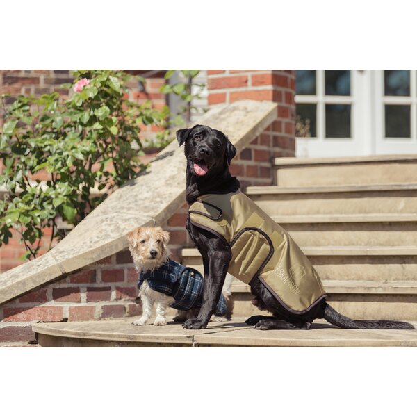 ESKADRON Heritage hondenjas cardamom | 30 cm