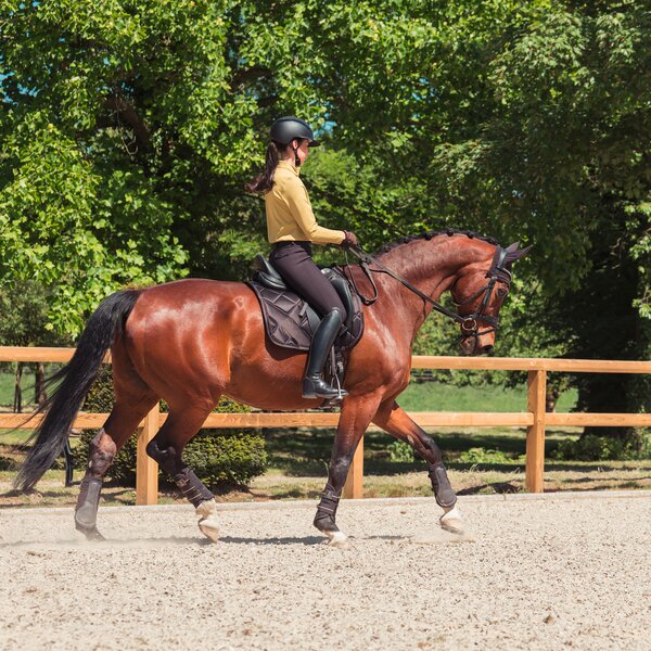 ESKADRON Heritage zadeldek Bicross Mattgloss black truffle | Pony Dressuur