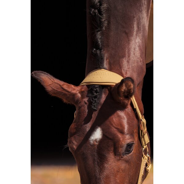 ESKADRON Heritage halster Faux Leather Double Pin cardamom | Shetty