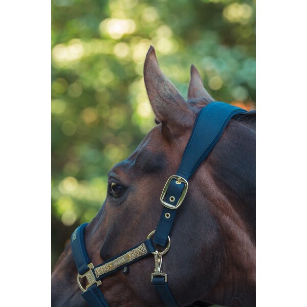 ESKADRON Heritage halster Faux Leather Double Pin navy | Shetty