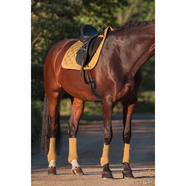 ESKADRON Heritage peesbeschermers Pro Dressage, voor achterbenen cardamom | Pony