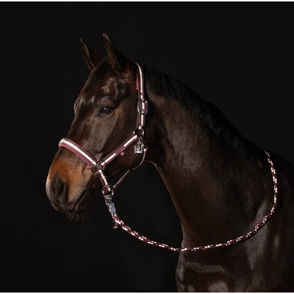 ESKADRON Classic Sports halster Double Pin 