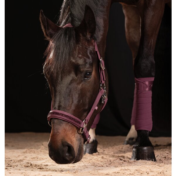 ESKADRON Classic Sports halster Softshell Jewel Double Pin royal plum | X-Warmbloed