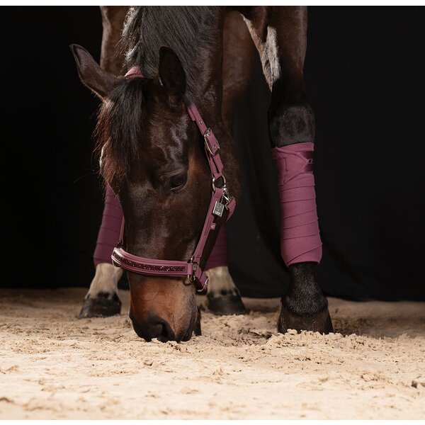 ESKADRON Classic Sports halster Softshell Jewel Double Pin royal plum | X-Warmbloed