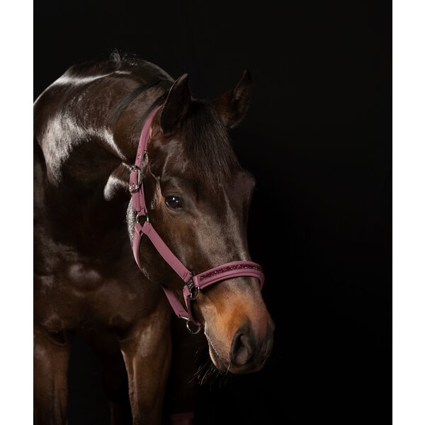 ESKADRON Classic Sports halster Softshell Jewel Double Pin royal plum | X-Warmbloed