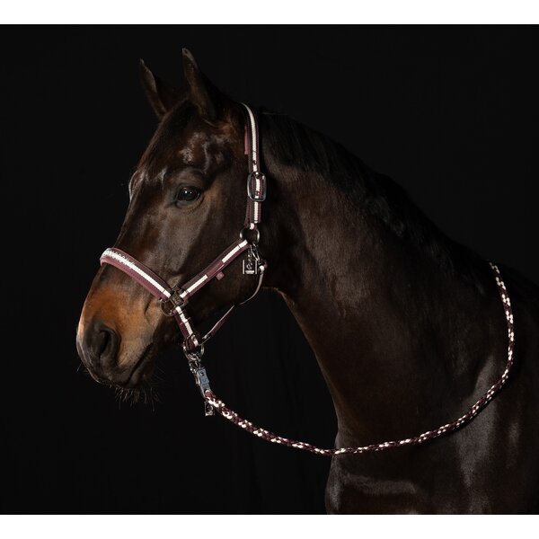 ESKADRON Classic Sports halster- en leidtouw Regular 