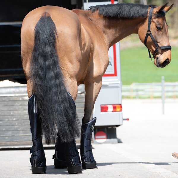 PROTECT by Horse-Friends transportbeschermers Premium 