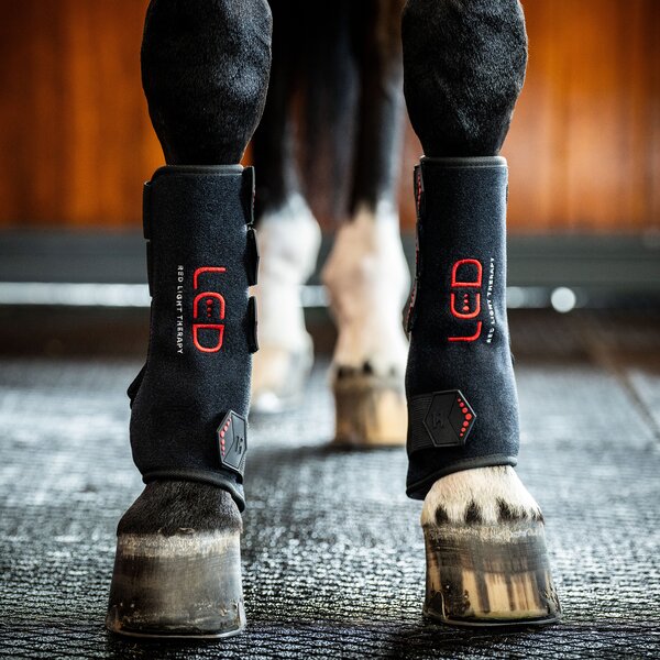 HORSEWARE Gamasche LED Red Light Therapy Leg Wraps, für die Vorderbeine black/black | vorne links