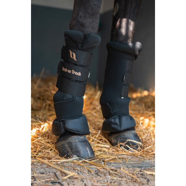 Back on Track Royal stalbeschermers Deluxe black | S