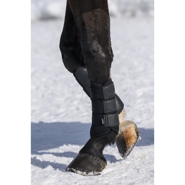 Back on Track peesbeschermers Airflow. Voor voor- en achterbenen. black | S