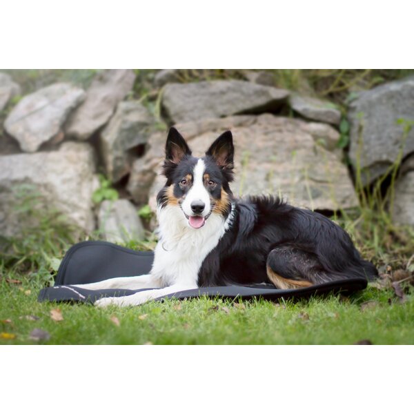 Back on Track hondenmatras Cage Fit black | 76 x 58 cm