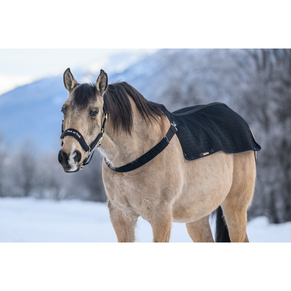 Back on Track borstgordel voor rugwarmer black