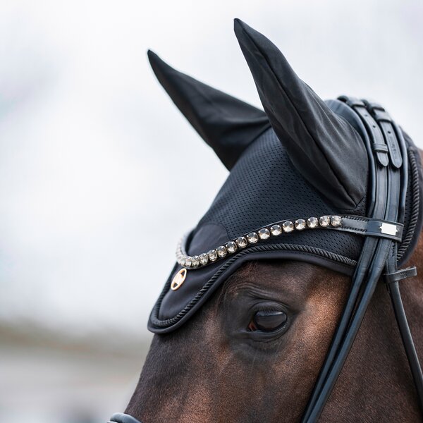 Back on Track oornetje Deep Nights black | Warmbloed