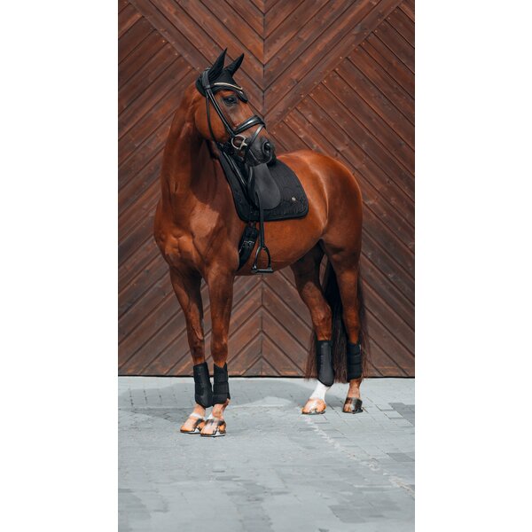Back on Track zadeldek Deep Nights black | Warmbloed/Dressuur
