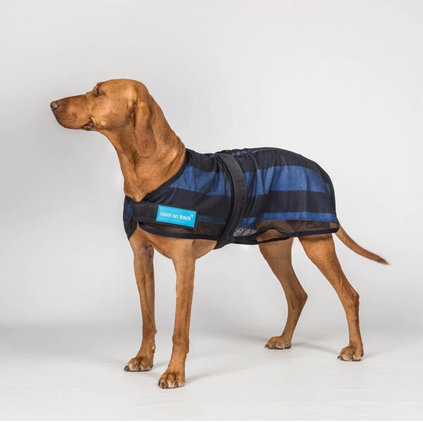 Back on Track koel-hondenjas Cool on Track 