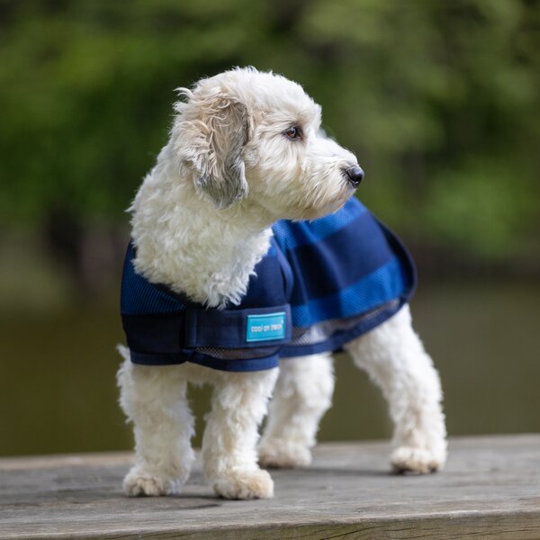 Back on Track koel-hondenjas Cool on Track 