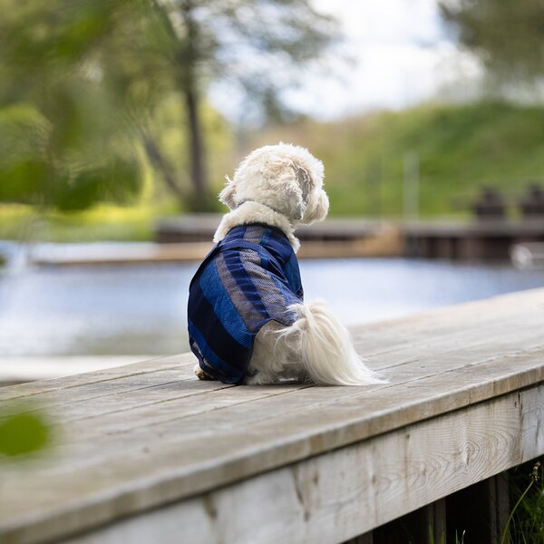 Back on Track koel-hondenjas Cool on Track 